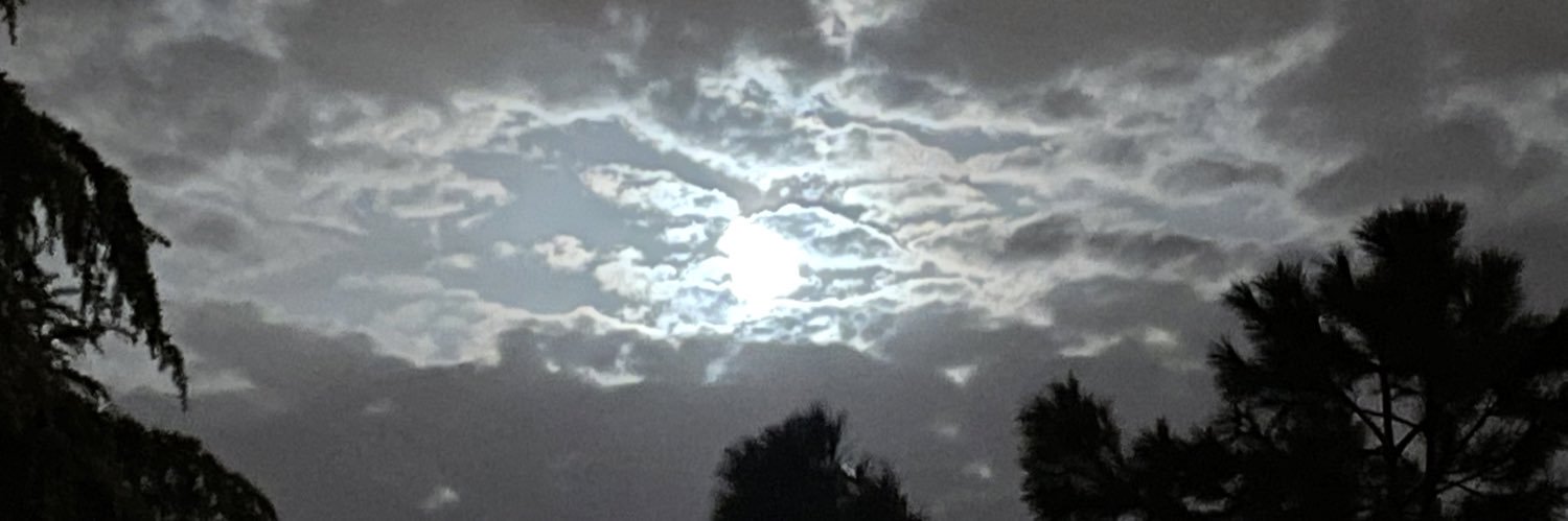 Eduardo Pasero Jiménez banner