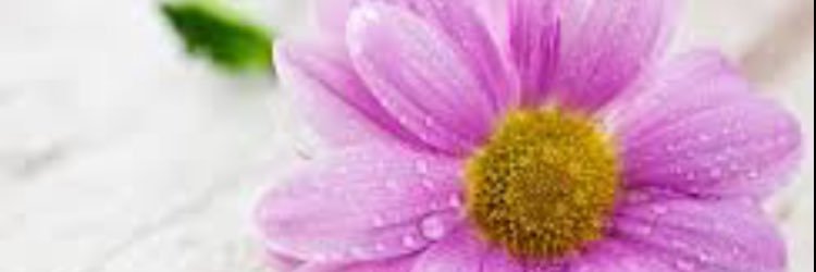 Rachy_Erin's profile banner image