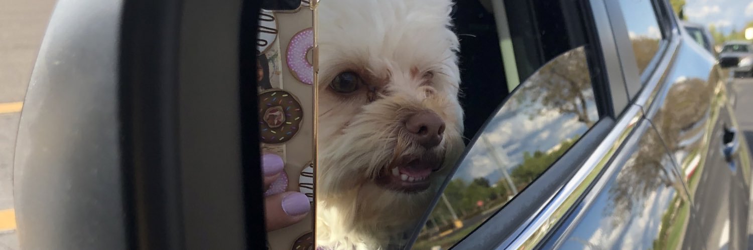 Ness_ImAMess's profile banner image