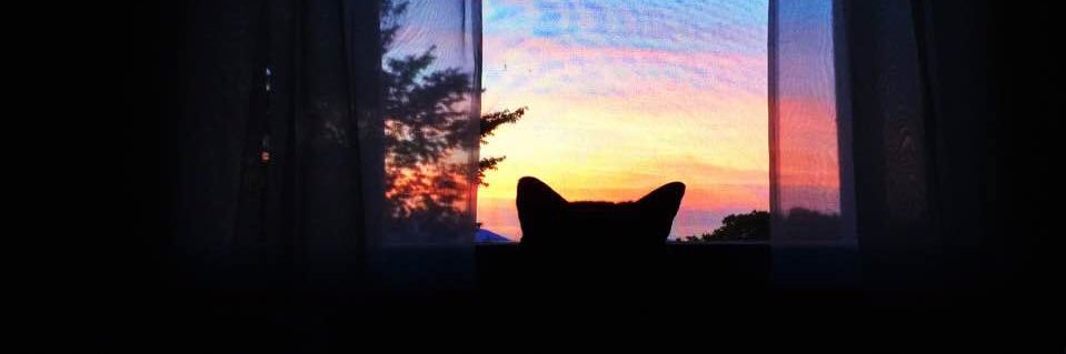 Eva Elisabeth banner