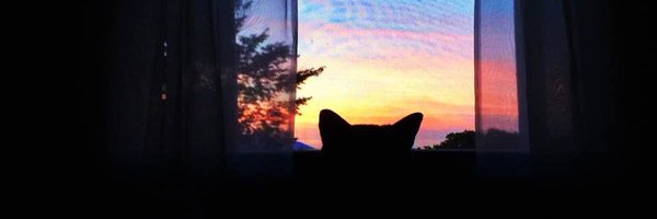 evawut Profile Banner