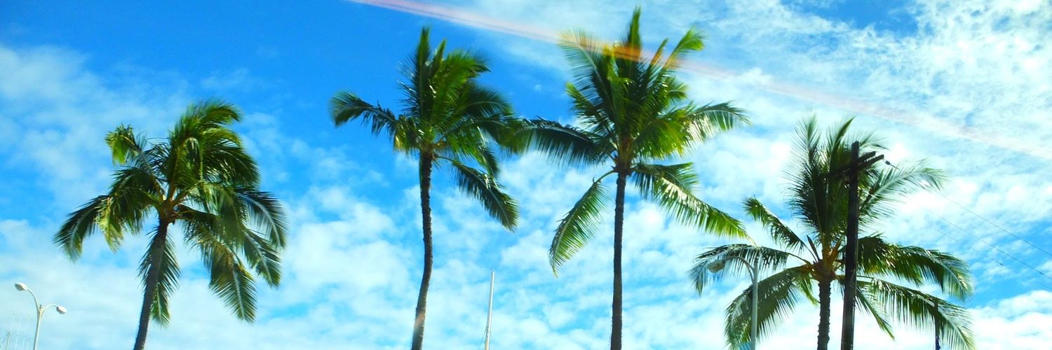poncho385's profile banner image