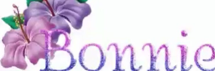 wildthang2's profile banner image