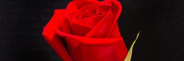 iAm_Anuli's profile banner image