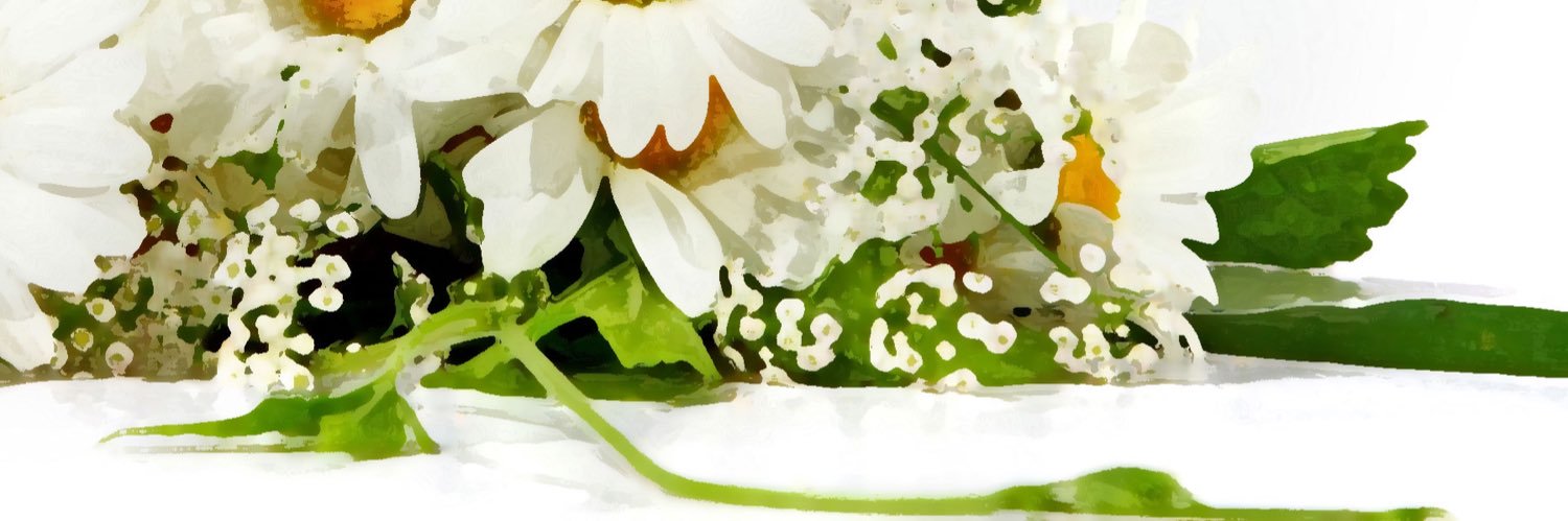 8888en's profile banner image