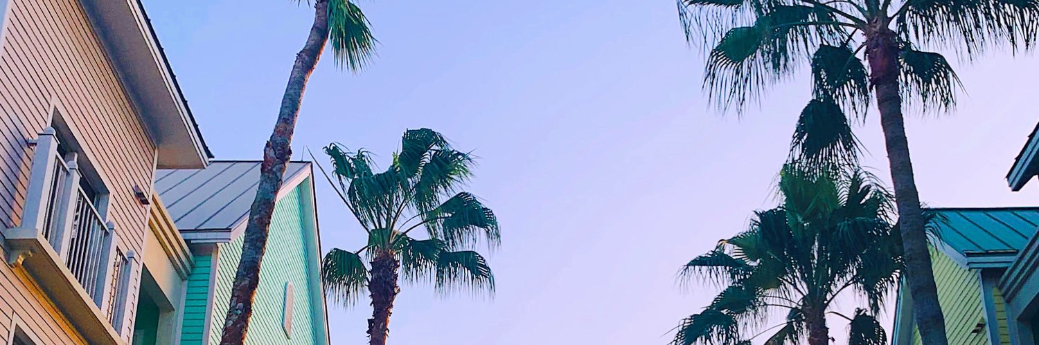 bbochese's profile banner image