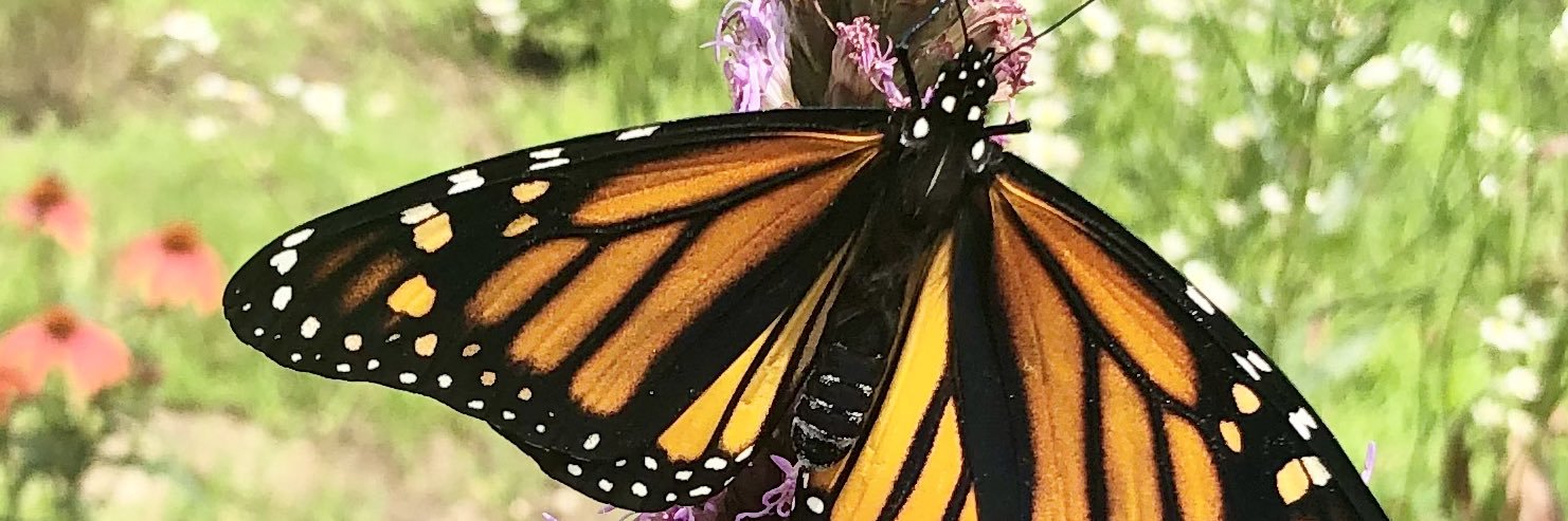 LCreegan's profile banner image