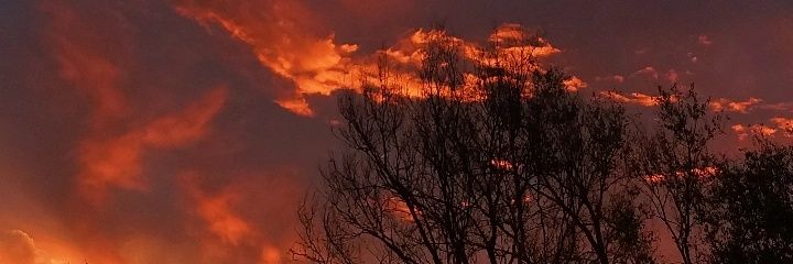 Luromooopr's profile banner image