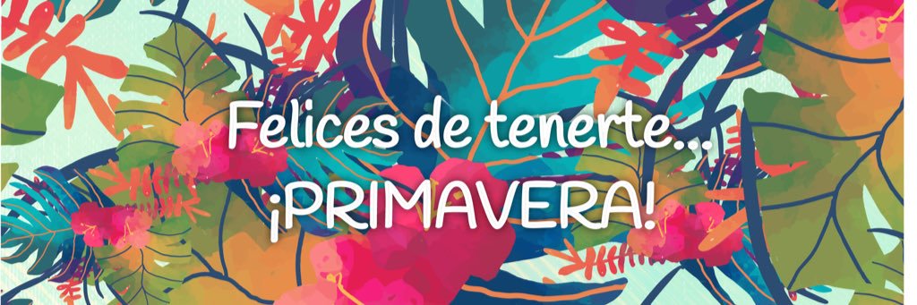 LenceriaMPaula's profile banner image