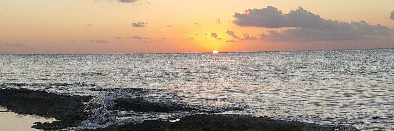 asnegosky's profile banner image