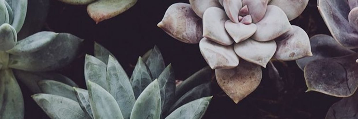 amstambaugh108's profile banner image
