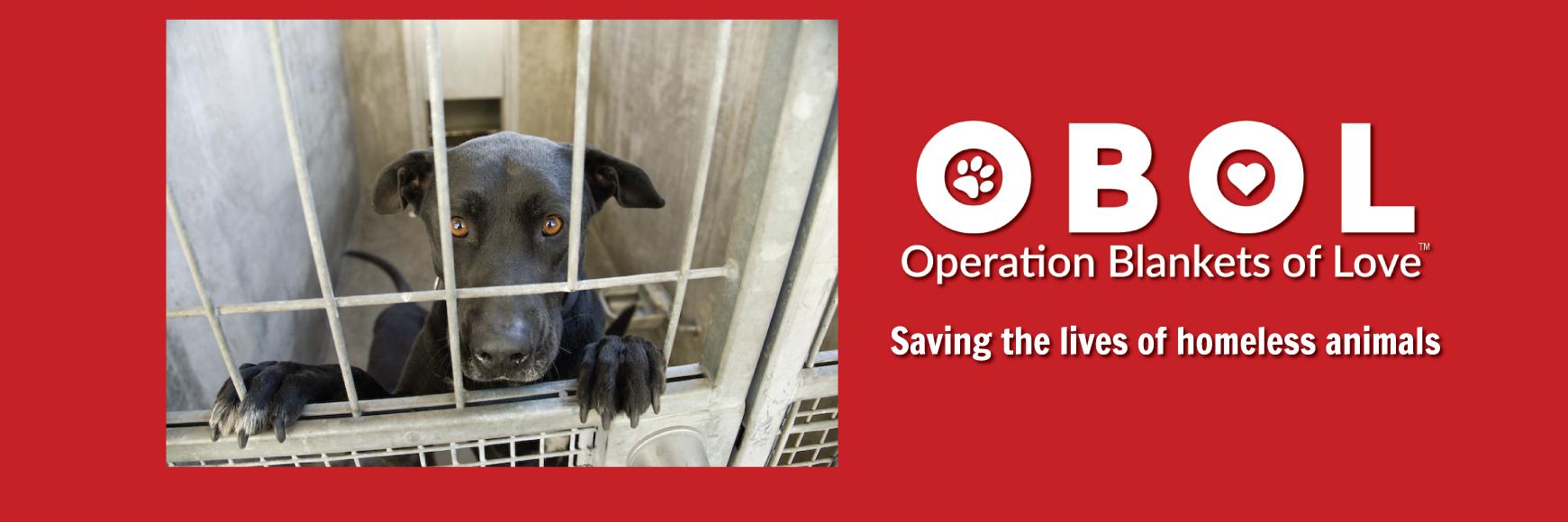 Operation Blankets of Love (OBOL) banner