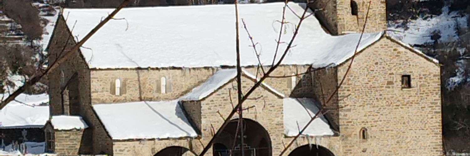 malodozgz's profile banner image