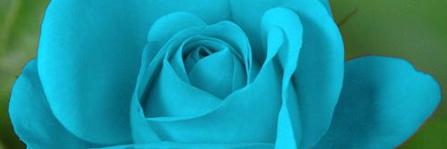 Fher Montes de Oca H banner