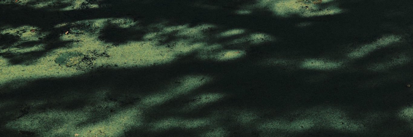 ciroiro_'s profile banner image
