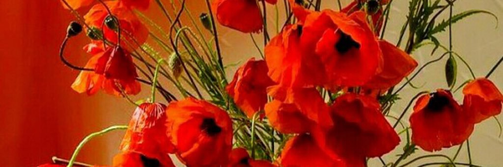 JoyantaKumarGho's profile banner image