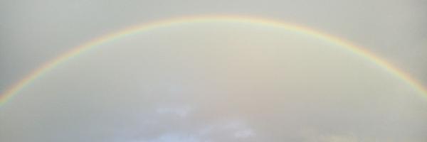 Marvalgue Profile Banner