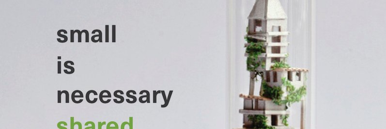 Anitra Nelson banner