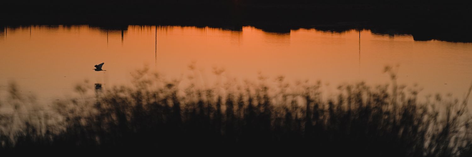 JoshSturges's profile banner image