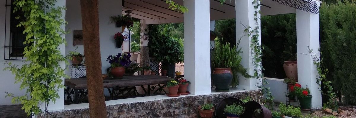 JoseARC33's profile banner image