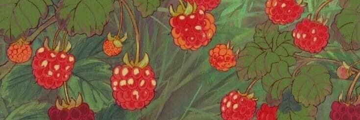 TheEllisIsland's profile banner image