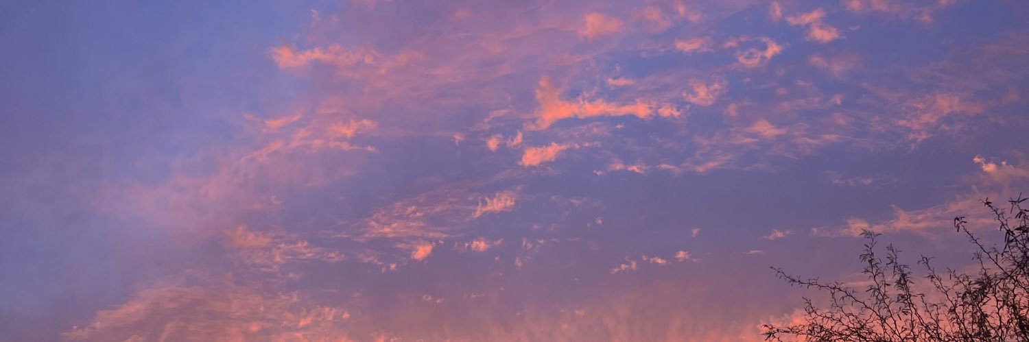VeeSteezy's profile banner image