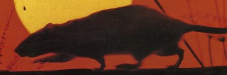 ApocalypsisV's profile banner image