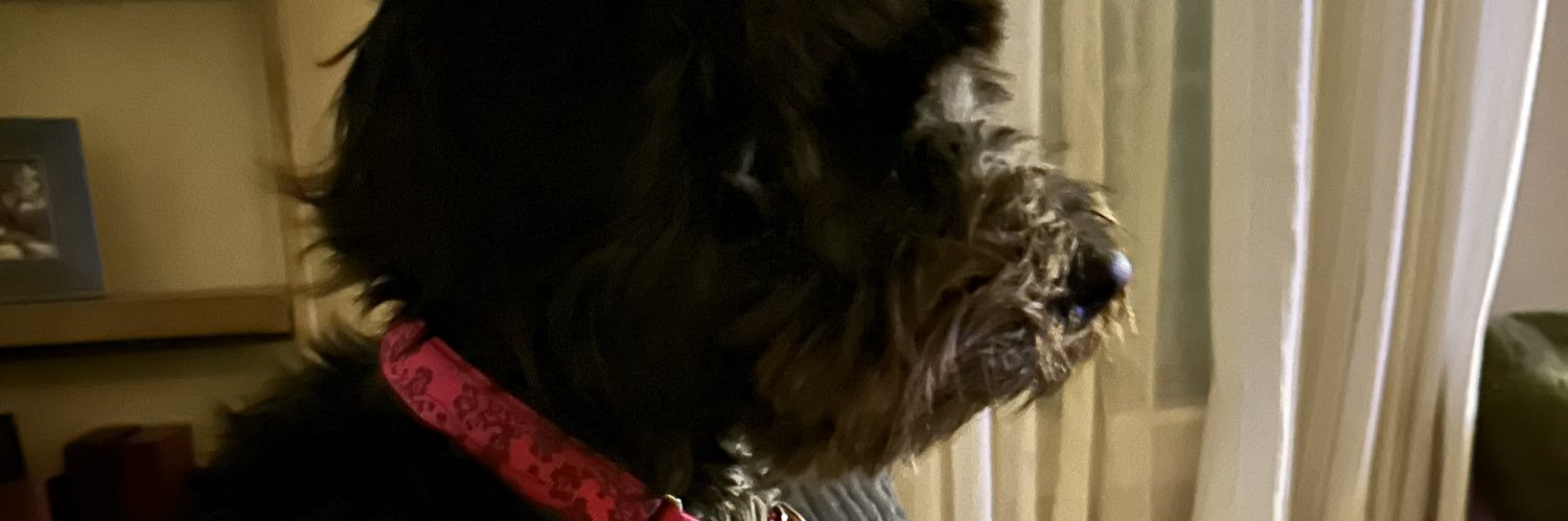 Fing Politics banner