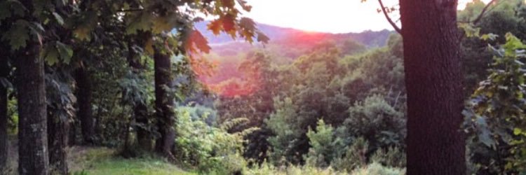 KenKel23's profile banner image