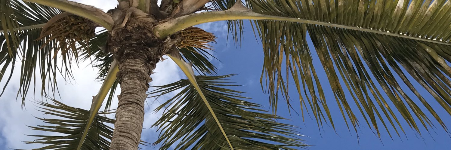 MrCMarkLee's profile banner image