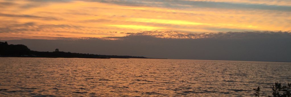 emilylevine24's profile banner image