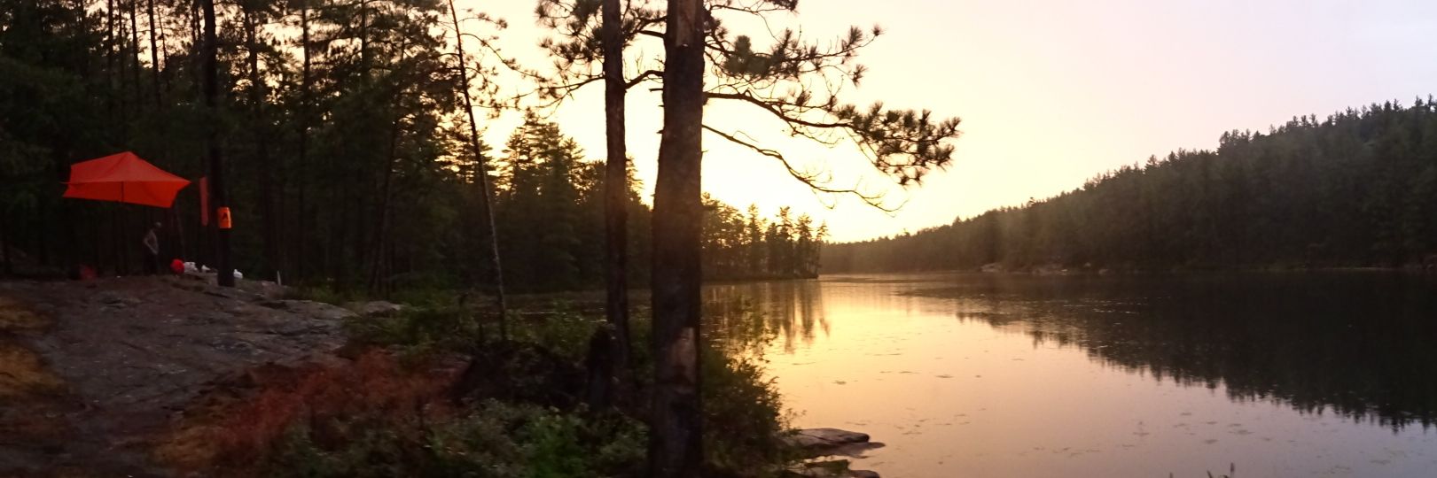 arnottja's profile banner image