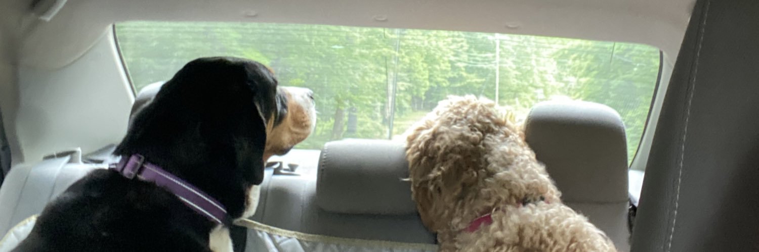 HaileyyRyann's profile banner image