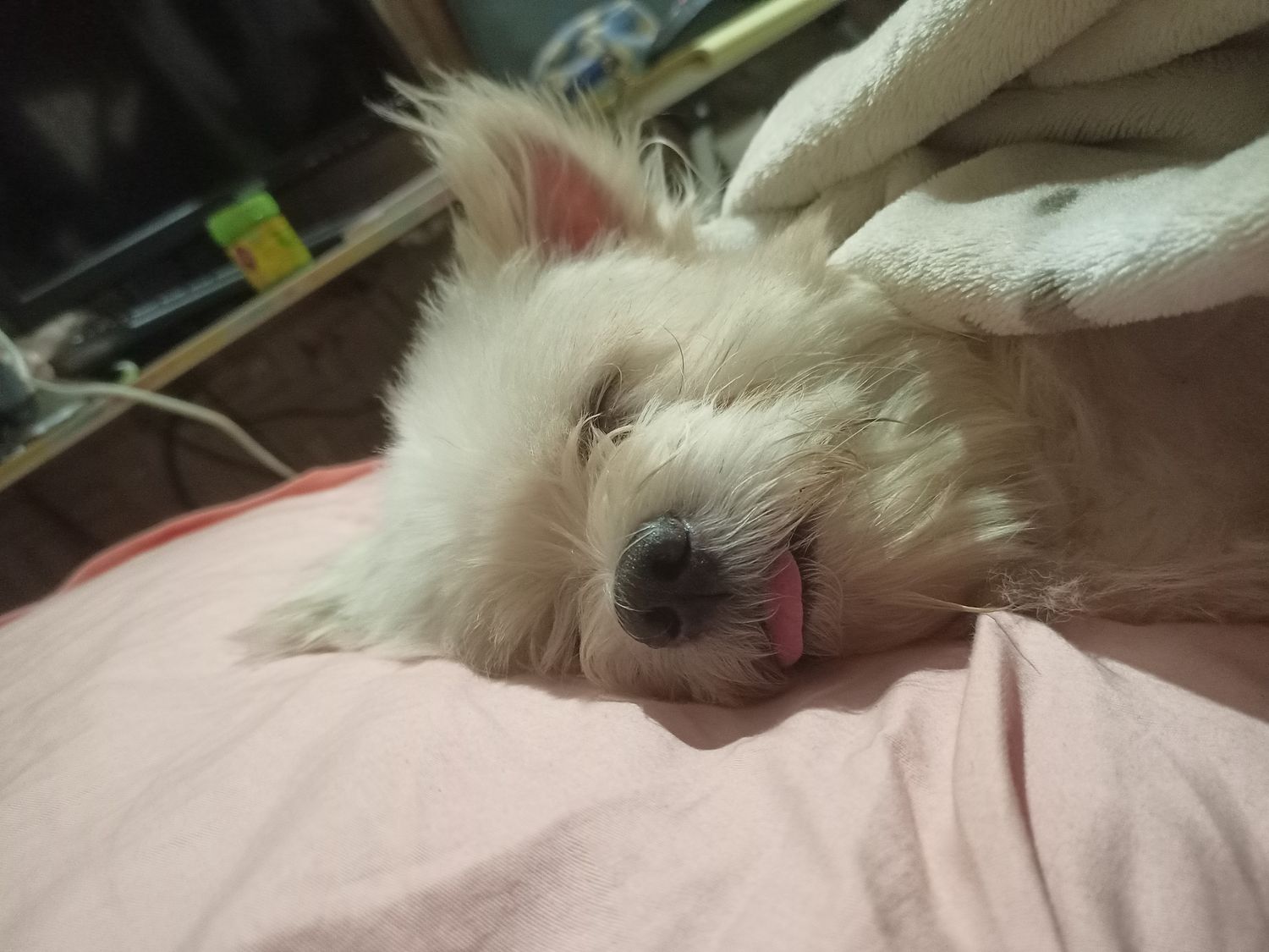 tinalyyn's profile banner image