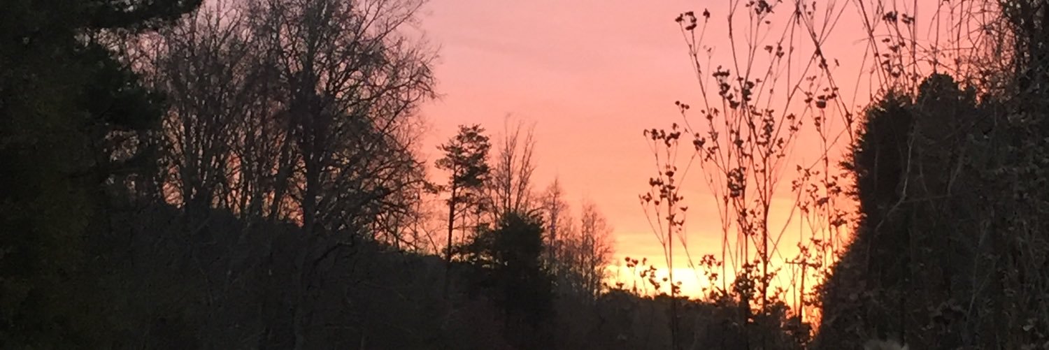 janabiggerstaff's profile banner image