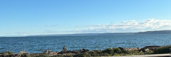 jasmineely Profile Banner