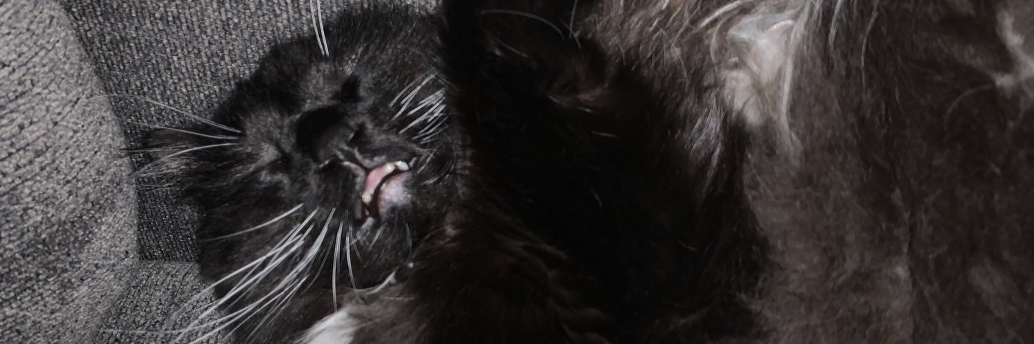 DaBombCannon's profile banner image