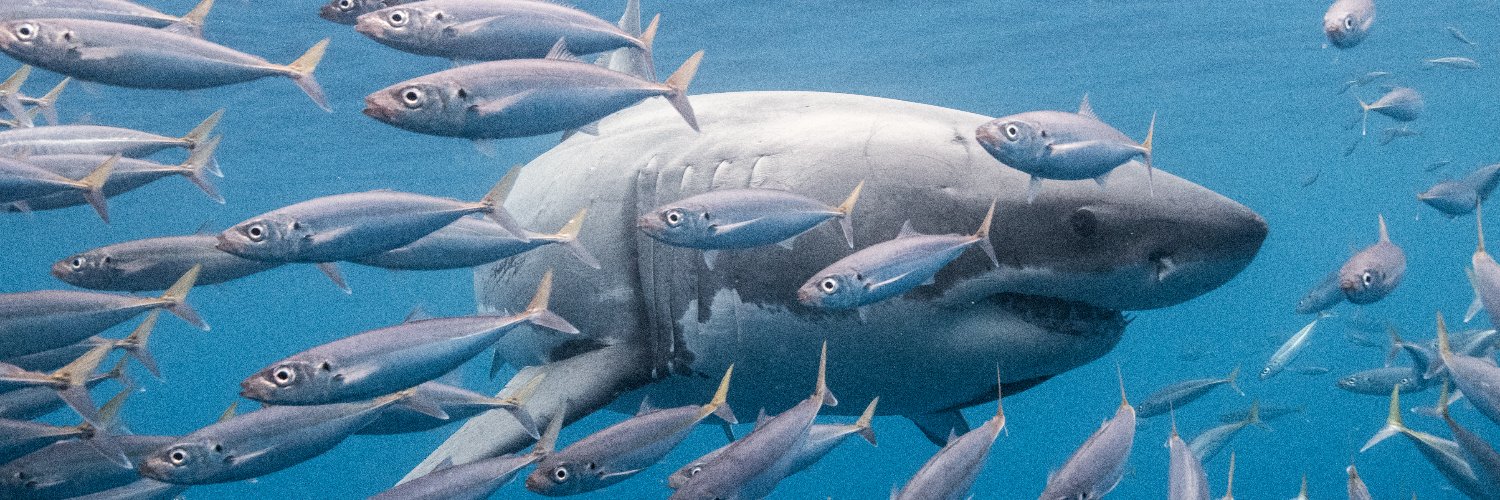 CoryBriggs's profile banner image