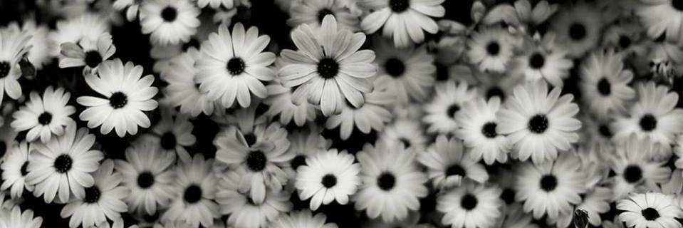 joelyfisher's profile banner image