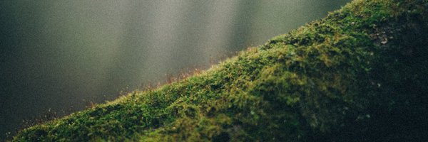 38inside Profile Banner