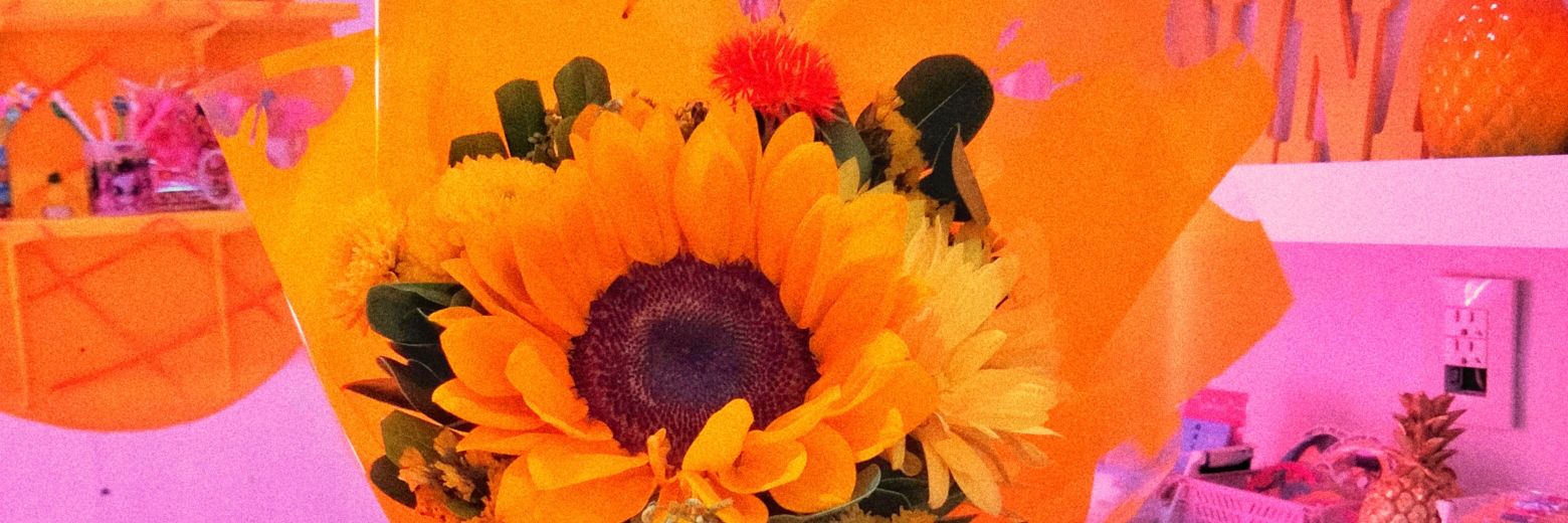 karimemendozae's profile banner image