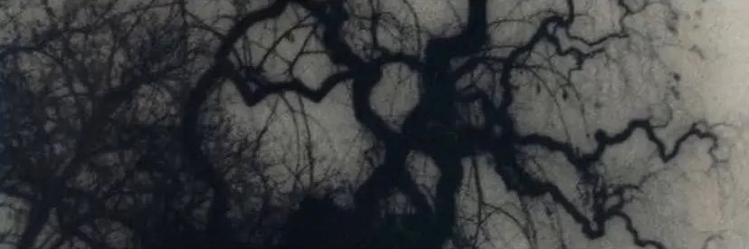 IsaiahMango's profile banner image