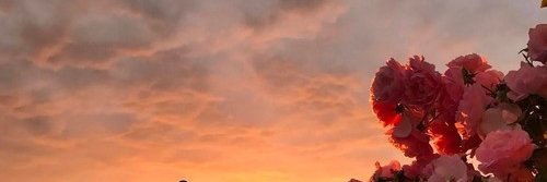 feelingstylins's profile banner image