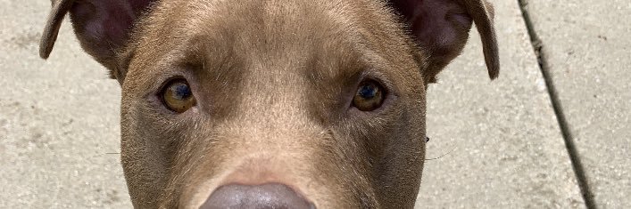 GrantJohnson34's profile banner image