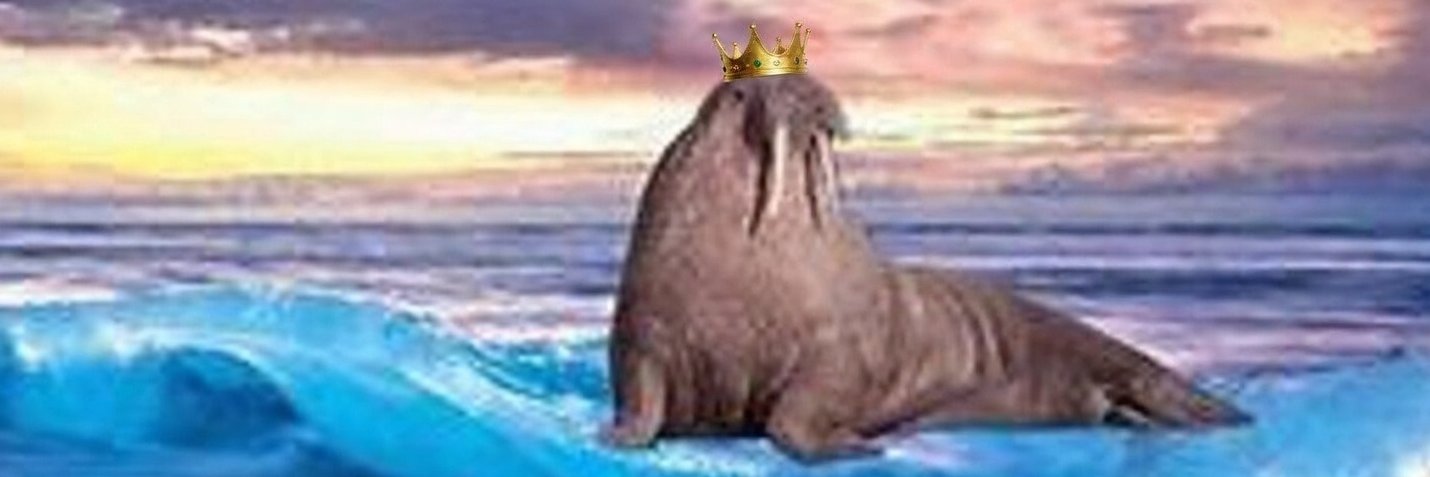 Walruzuma's profile banner image