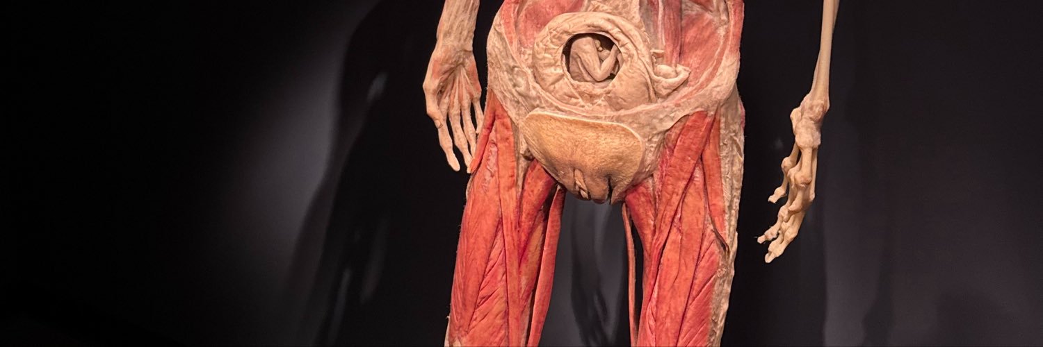 Fergazoid_910's profile banner image