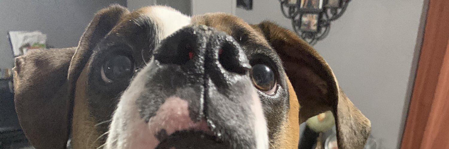 TaylorWeslyn's profile banner image