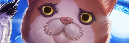 gerokuina's profile banner image