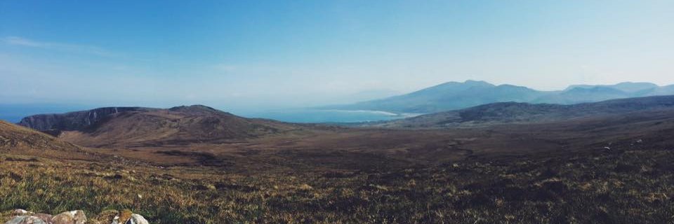 MorgansMeadow_'s profile banner image