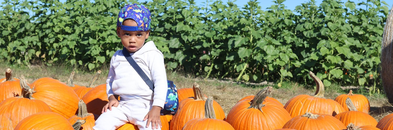 realnatefields's profile banner image